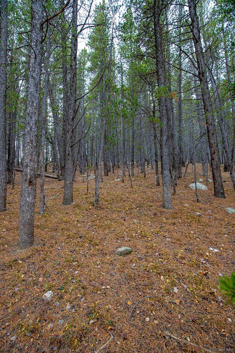 Lot 935 Silver Creek Road