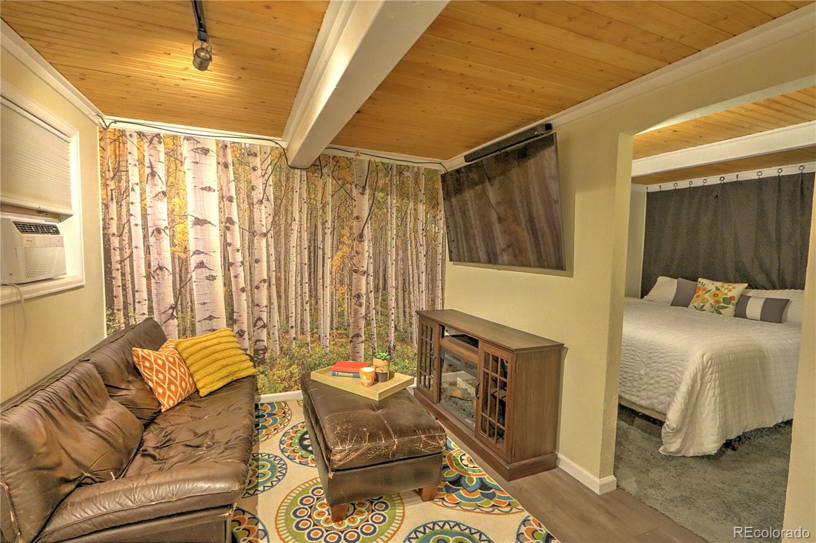 11101 County Road 117 3D