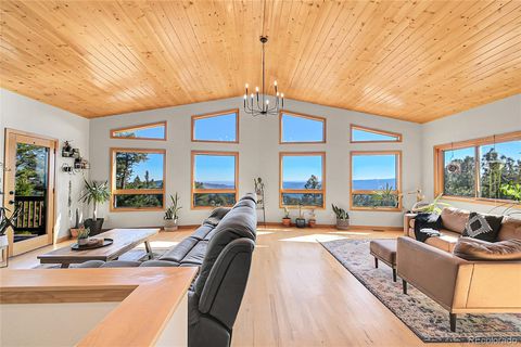 13382 Riley Peak Road Conifer CO 80433