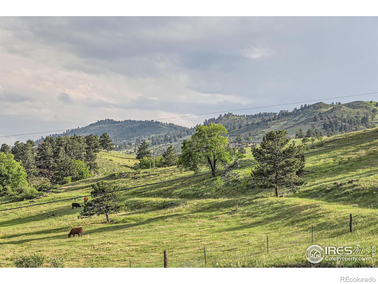 8241 N Foothills Highway