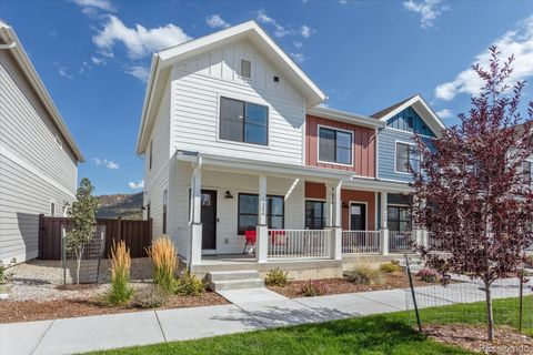 356 Barnwood Drive Buena Vista CO 81211