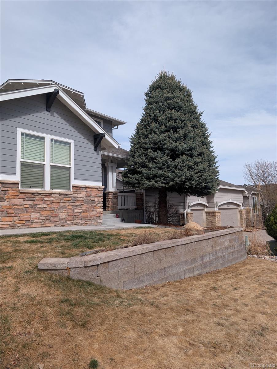 8537 Winter Berry Drive