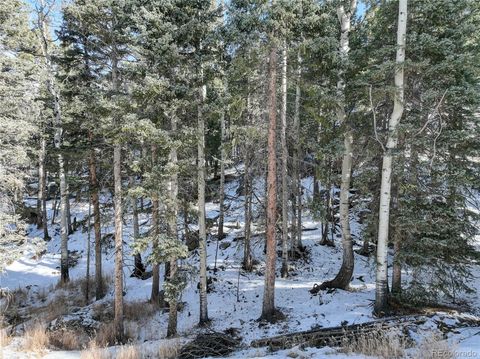 133 Squilchuck Trail, Woodland Park, CO 80863 - #: 9271866