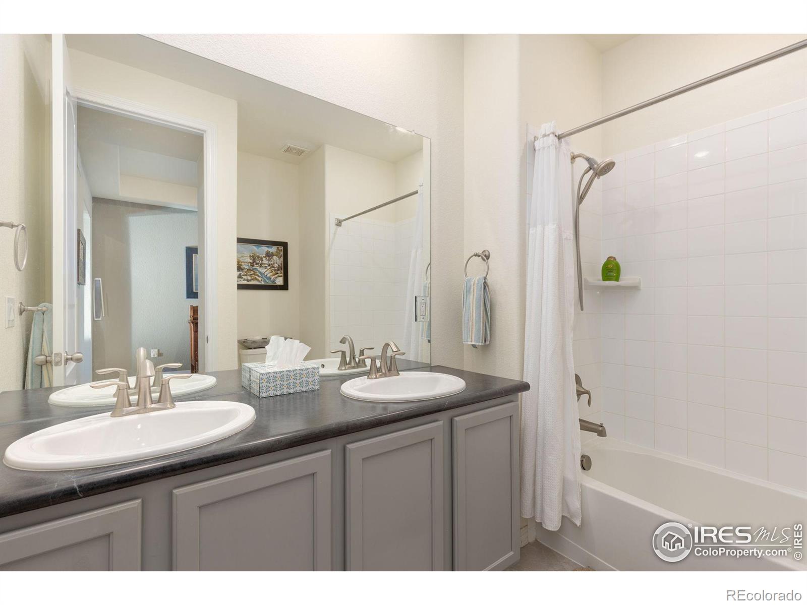 2342 Spotswood Street, Longmont, CO, 80504 4 2342 Spotswood Street