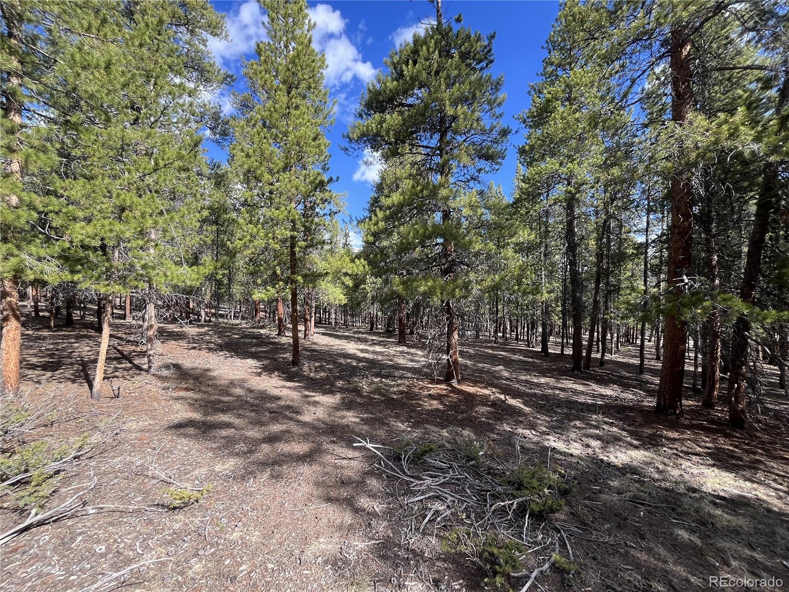 30336 National Forest Drive