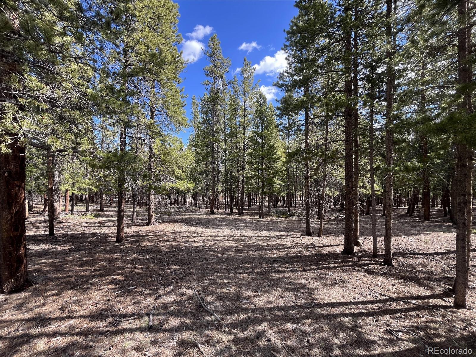 30336 National Forest Drive