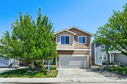 1128 Lark Lane Brighton CO 80601