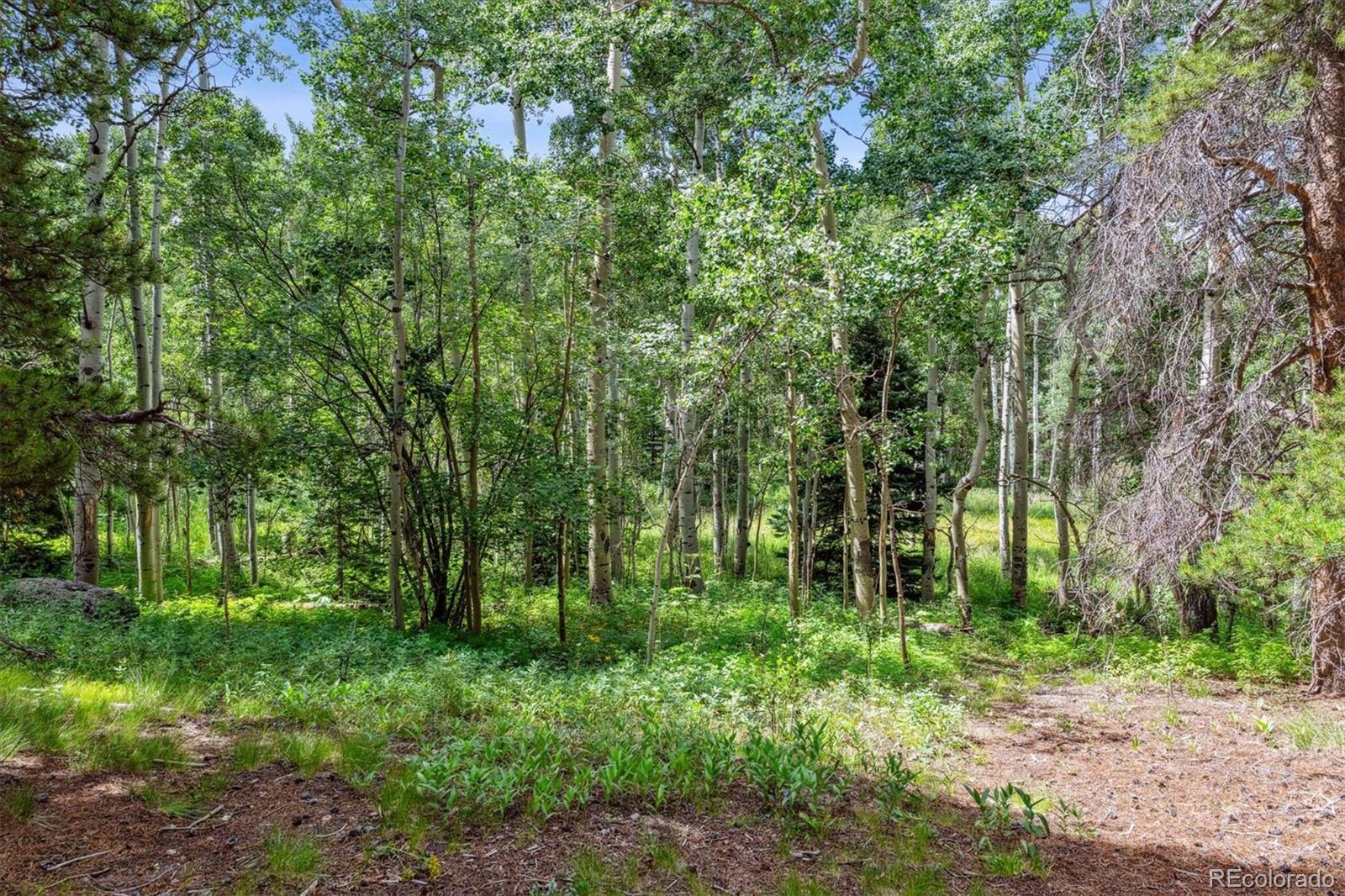 306 Olde Carter Lake Road