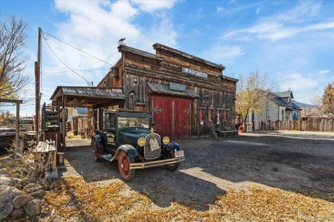 201 S Colorado Avenue Buena Vista CO 81211