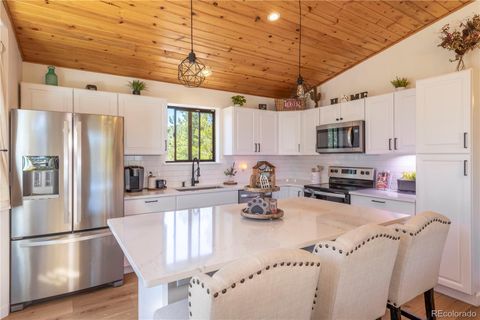 51 Schooley Road Bailey CO 80421