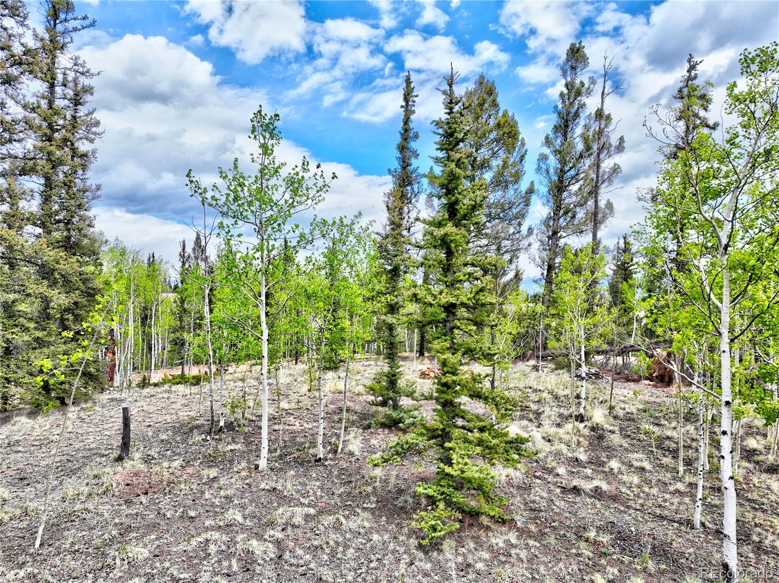 522 Tepee Trail