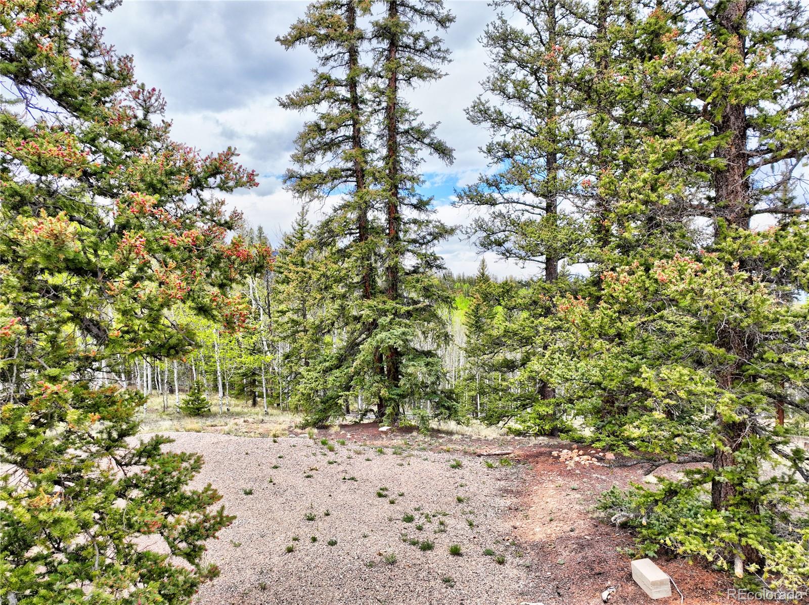 522 Tepee Trail