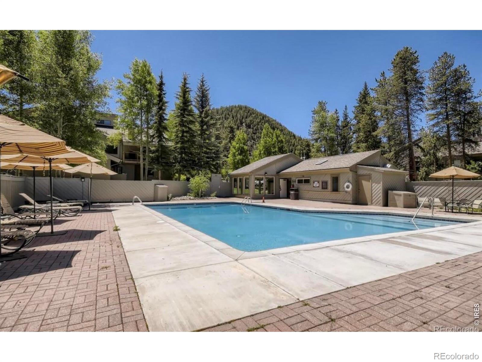 1937 Soda Ridge Road 1146