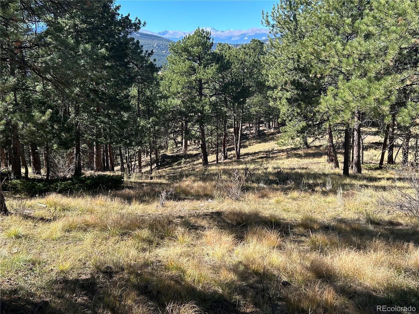 00 White House Trail