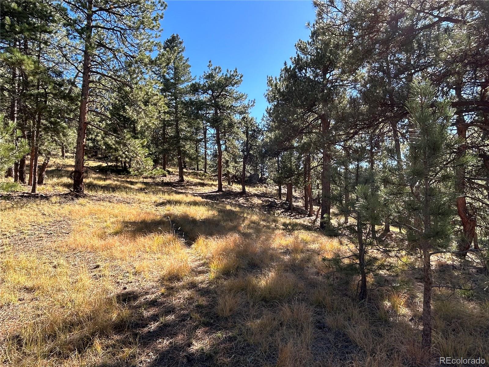 00 White House Trail