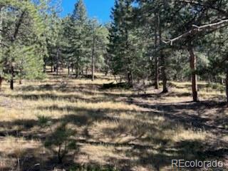 00 White House Trail