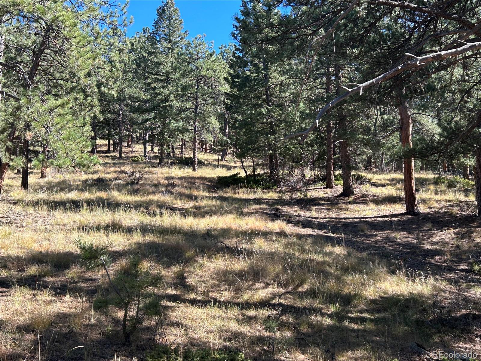 00 White House Trail