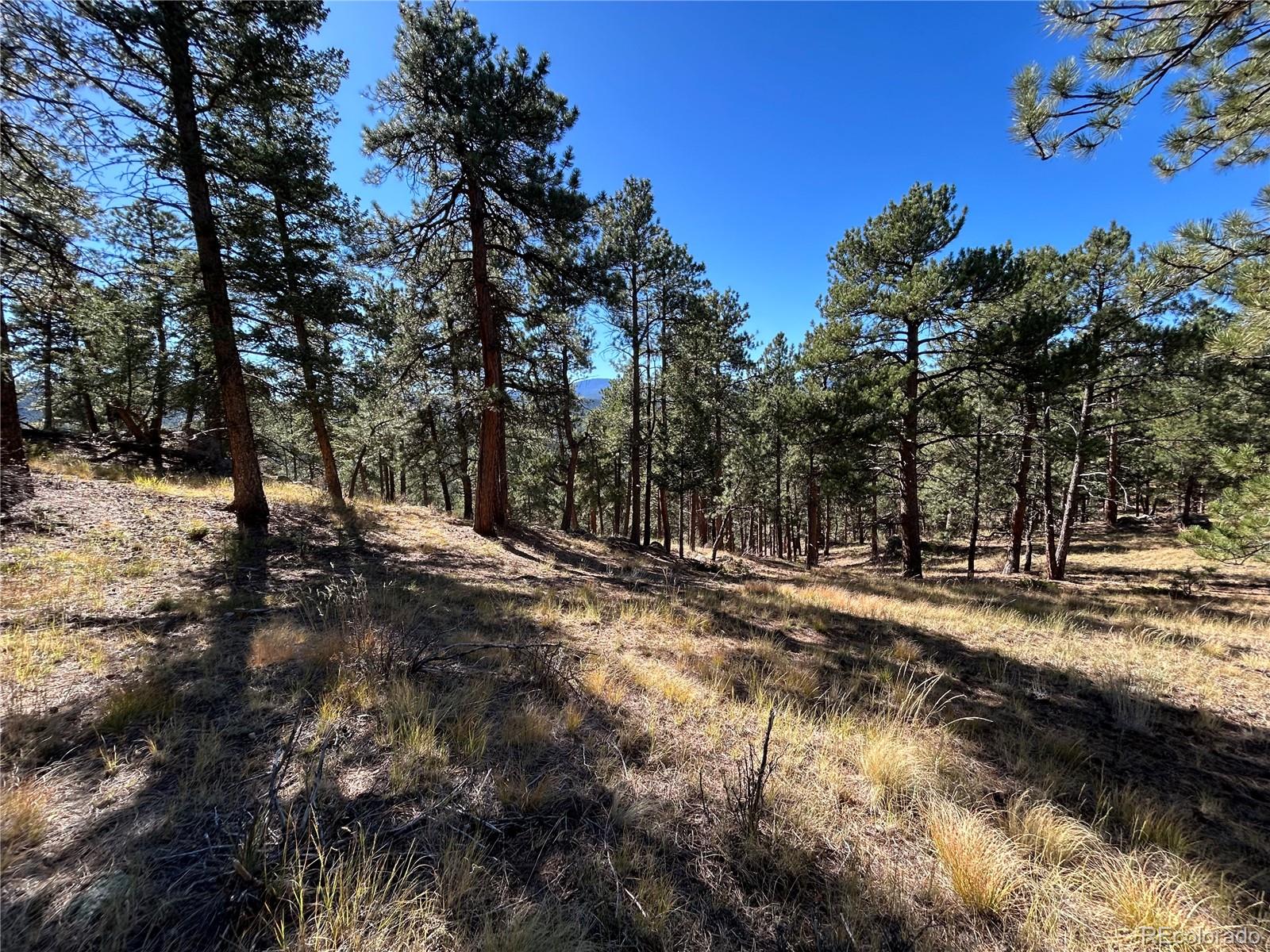 00 White House Trail