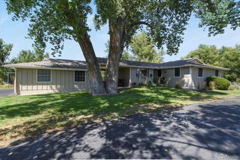 6415 S Piney Creek Circle Centennial CO 80016