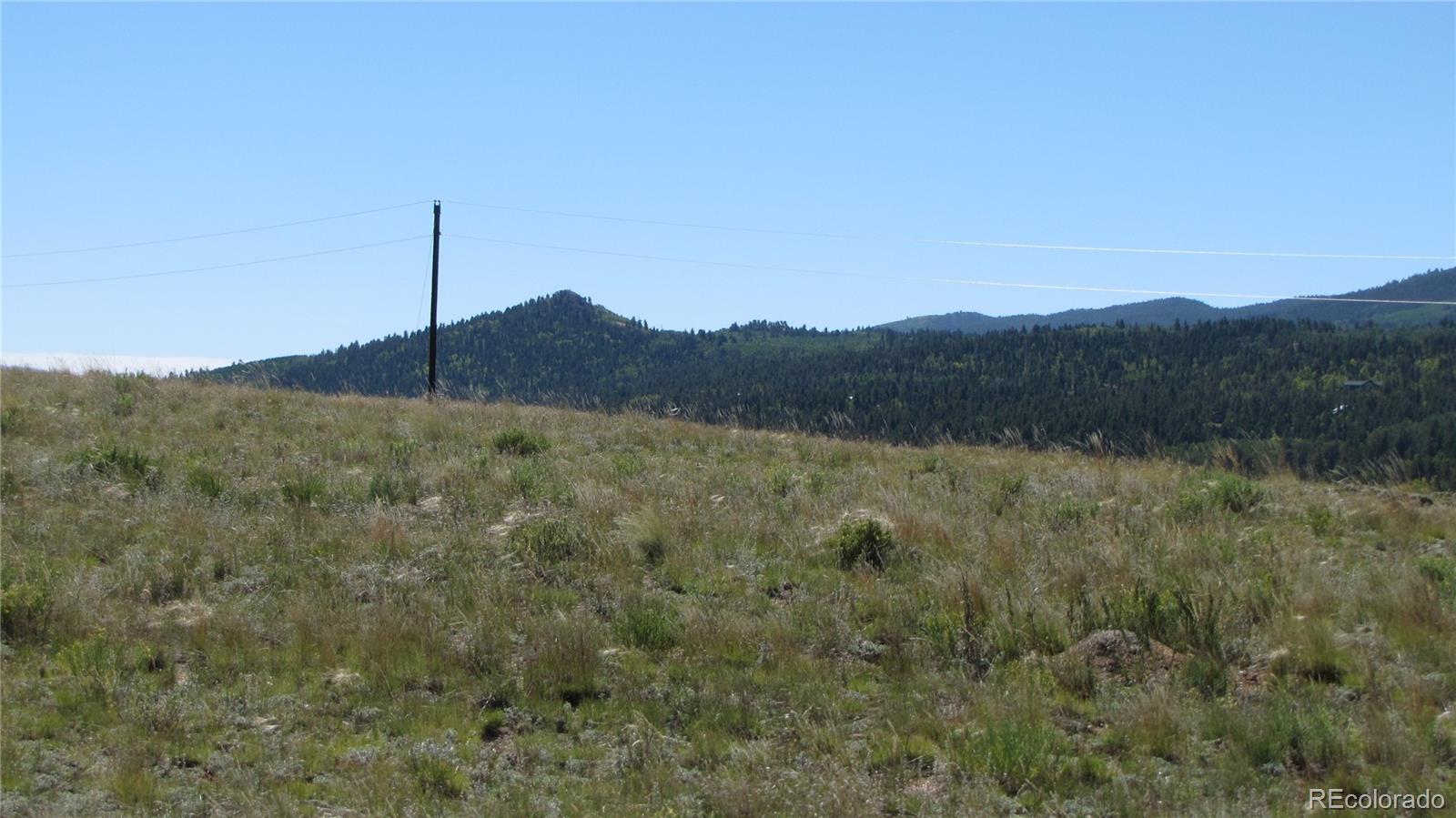 1198 Wagon Wheel Road