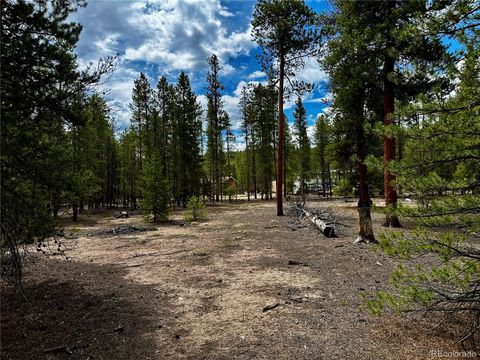 644 Birch Drive Twin Lakes CO 80461