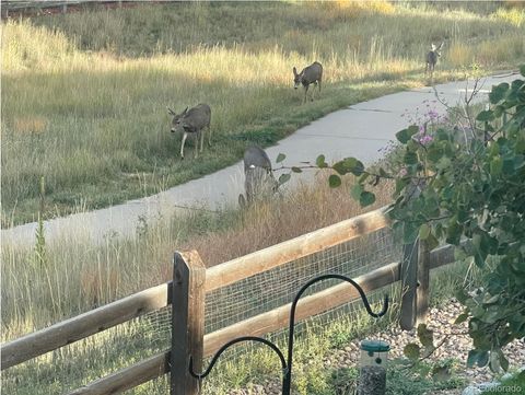 3303 Starry Night Loop Castle Rock CO 80109