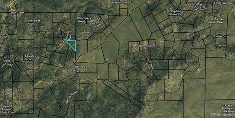 98 Discovery Drive Westcliffe CO 81252