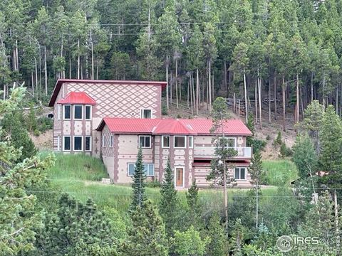8 Valley View Drive, Nederland, CO 80466 - #: IR995037