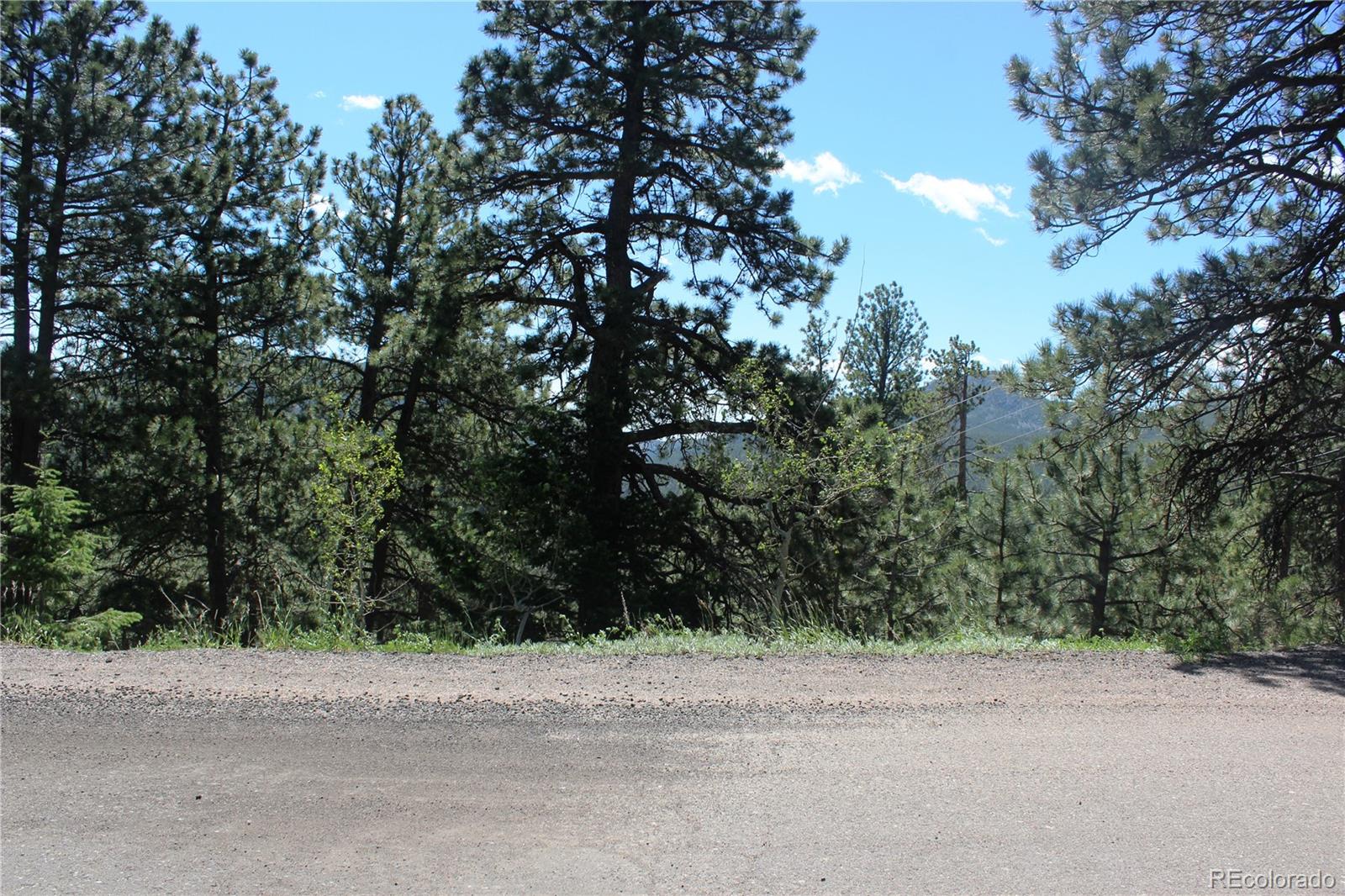 11702 Overlook Drive
