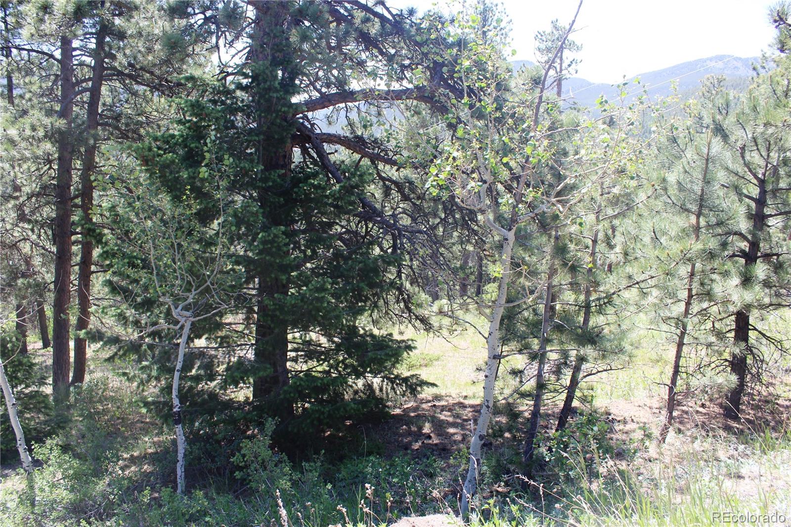 11702 Overlook Drive