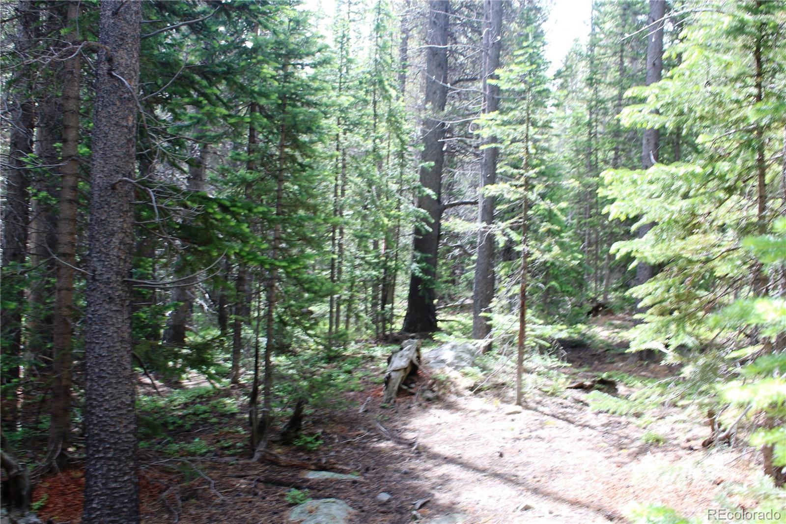 Lot 209 Upper Forest Road