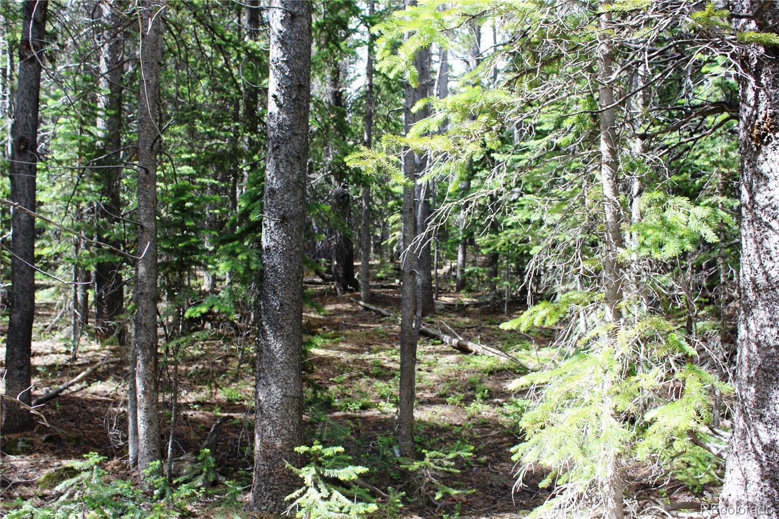 Lot 209 Upper Forest Road