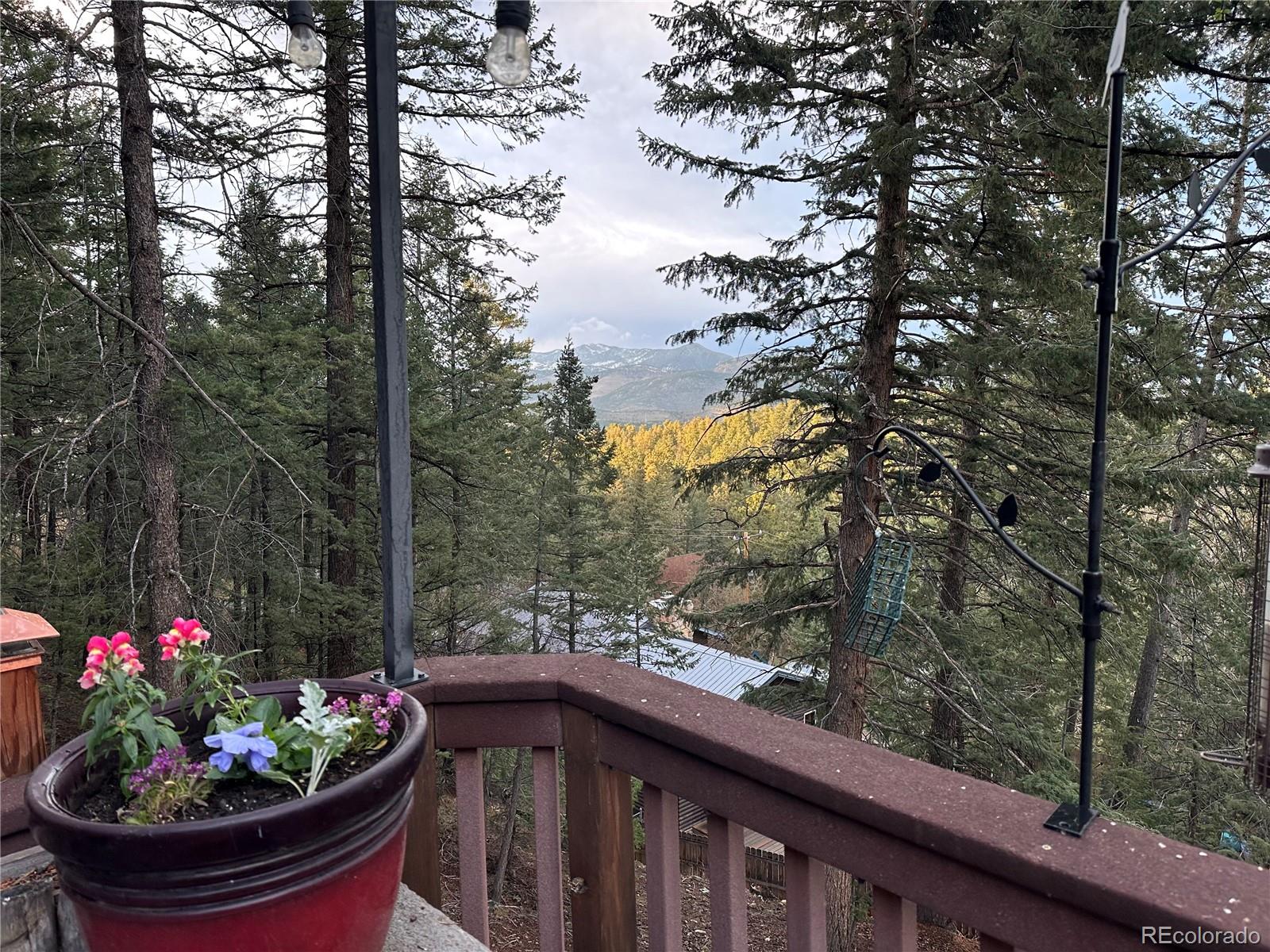 30282 Pine Crest Drive