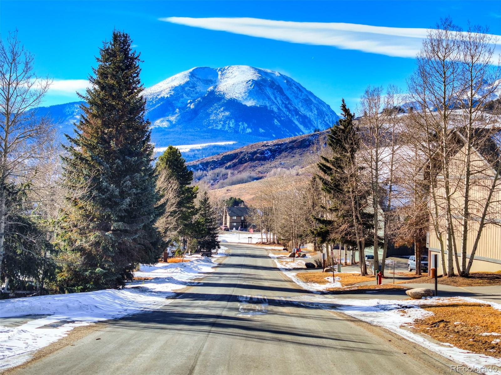 1263 Straight Creek Drive 101