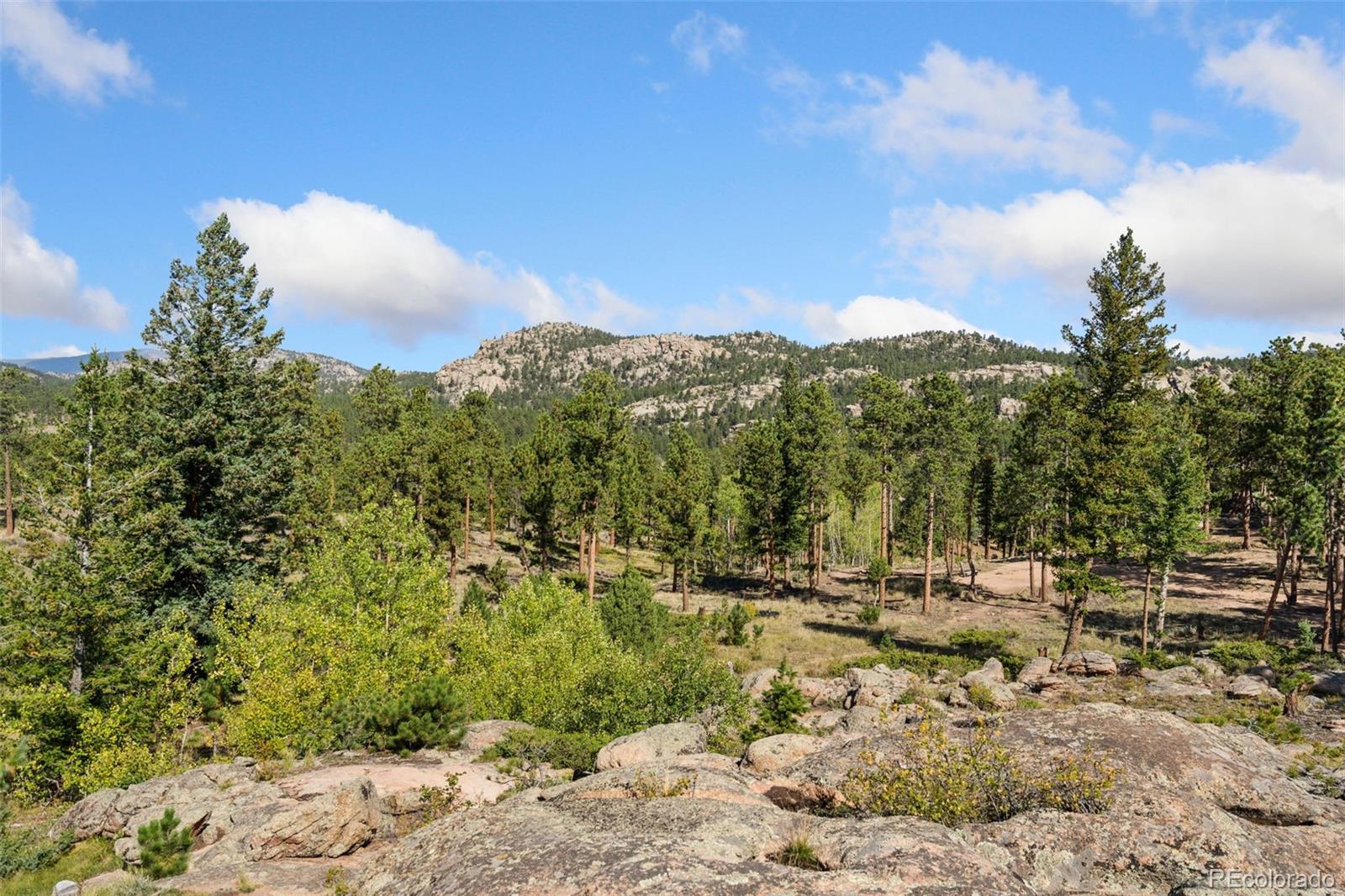17931 W County Road 74e, Red Feather Lakes, CO, 80545 4 17931 W County Road 74e