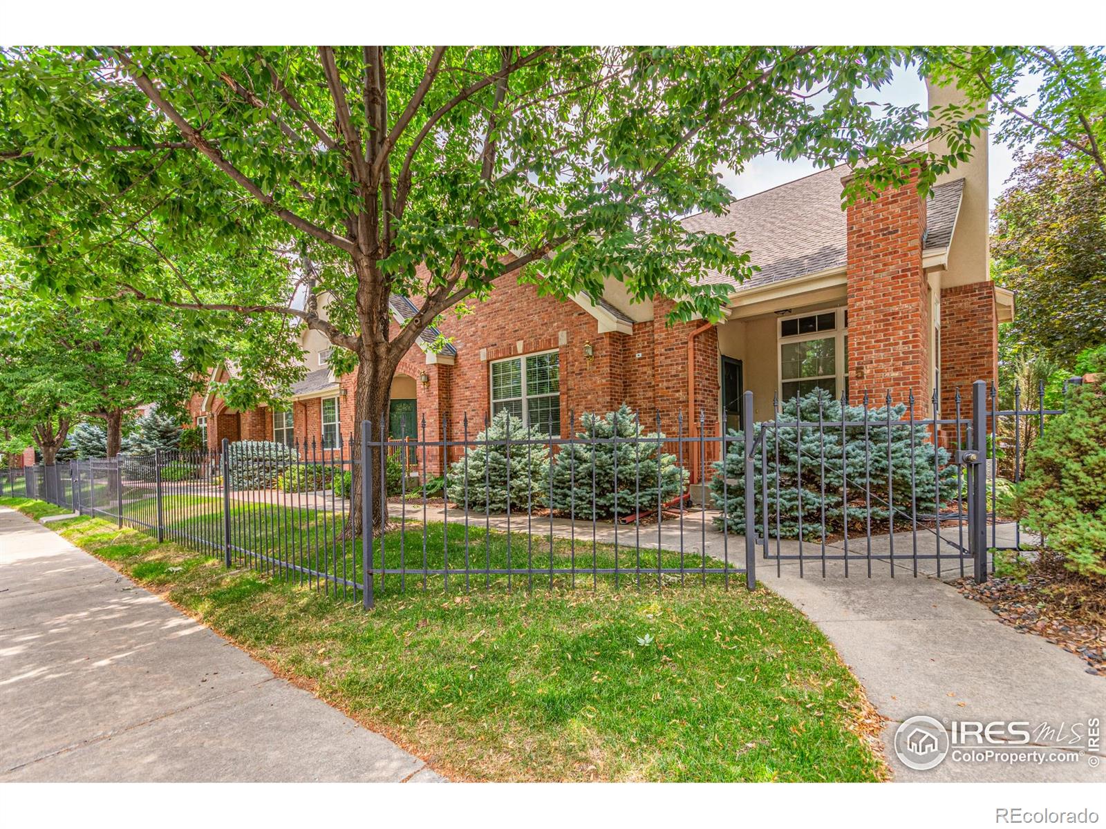 1333 Charles Drive 8