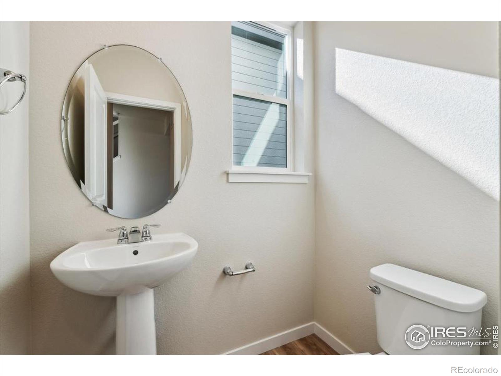 4431 Trader Street, Timnath, CO, 80547 1 4431 Trader Street