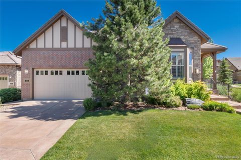 Single Family Residence in Highlands Ranch CO 225 Featherwalk Court.jpg