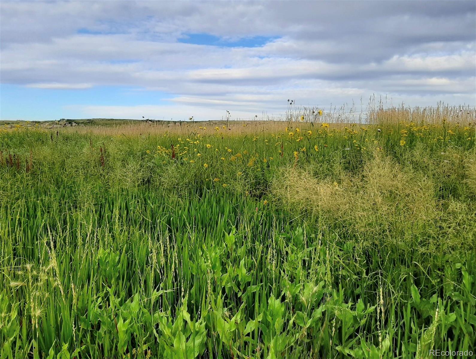 21550 Elk Meadows Circle