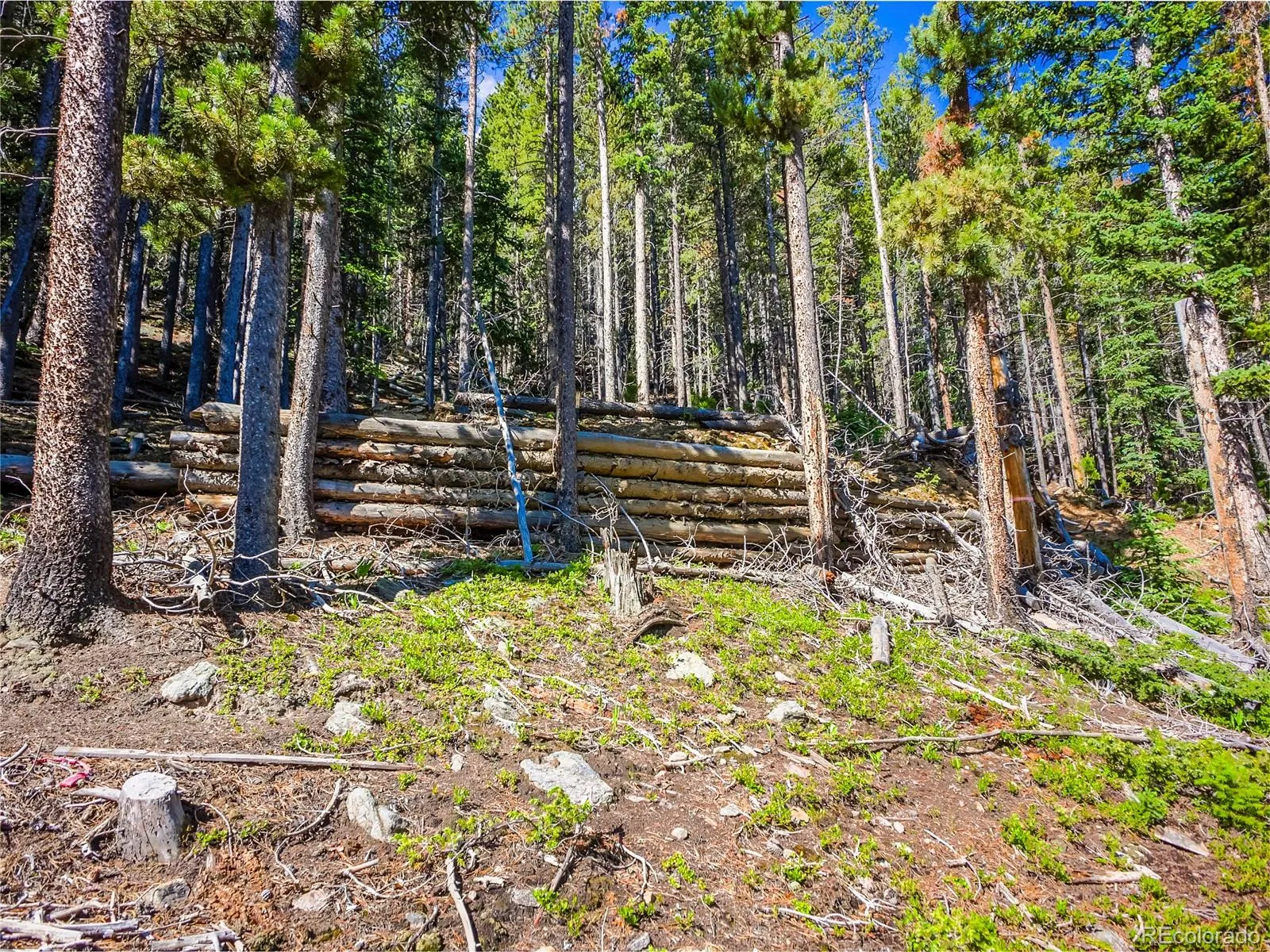 Idaho Springs, Colorado 80452, United States, ,Land,Active,161735