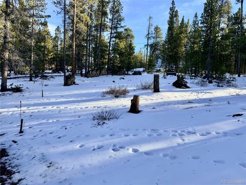 198 Juniper Drive Twin Lakes CO 81251