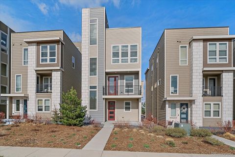 New Homes for Sale Castle Rock CO, Parker CO & Castle Pines CO 3648 Cerf Way Castle Rock Co 80109