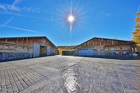 Photo of Molina, CO 81646 (MLS # 4362173)