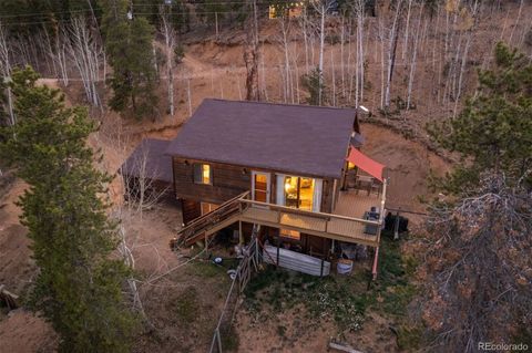 609 Gold Flake Terrace Bailey CO 80421