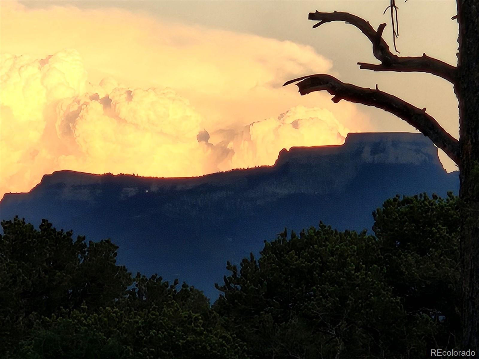 14585 Indian Spring Drive