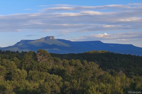 14585 Indian Spring Drive Trinidad CO 81082