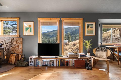 225 E Cline Drive Shawnee CO 80475