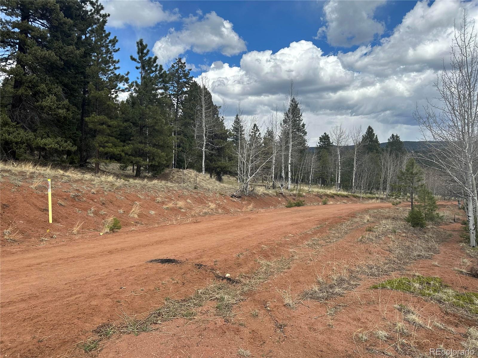 Firestone Drive