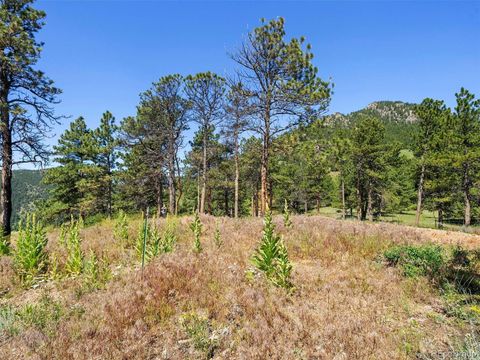 Unimproved Land in Arvada CO 53 Canyon Pines Drive 7.jpg