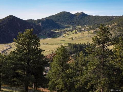 Unimproved Land in Arvada CO 53 Canyon Pines Drive 40.jpg